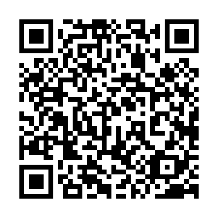 QR code for plate 9Q0 028