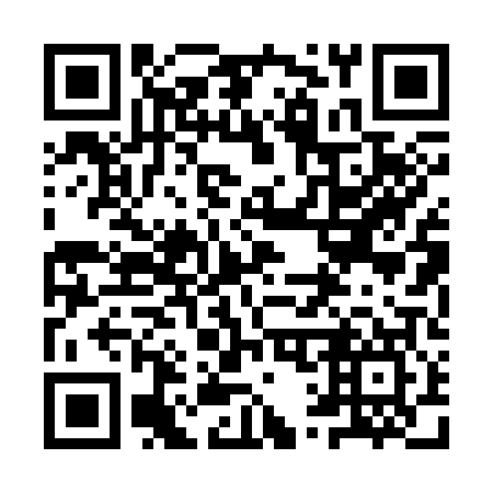 QR code for plate 9Q0 307