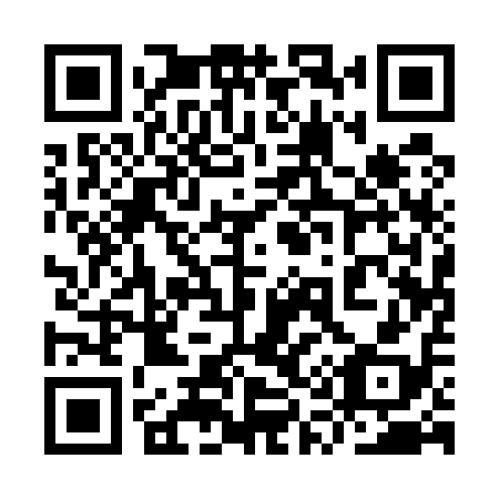 QR code for plate 9Q1 518