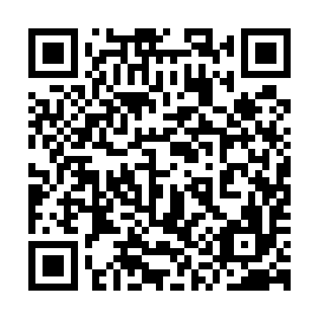 QR code for plate 9Q1 596