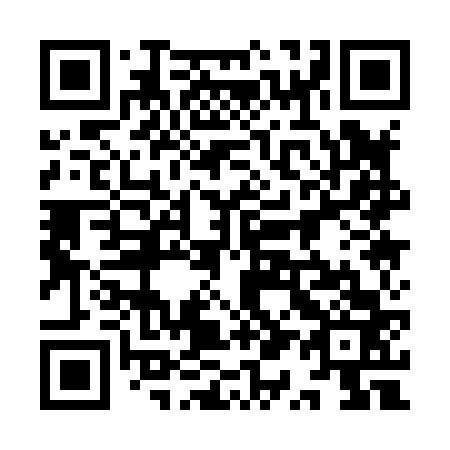 QR code for plate 9Q1 863