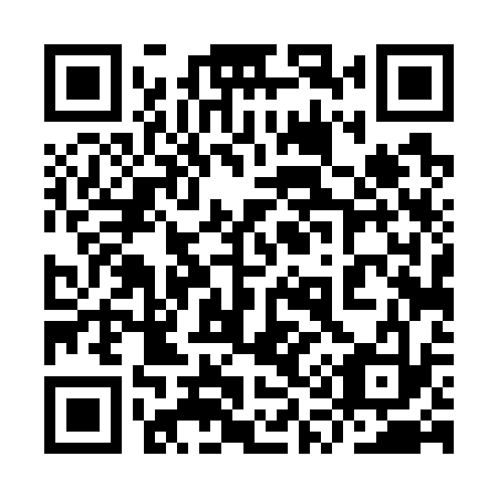 QR code for plate 9Q4 733