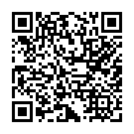 QR code for 9Q5 333