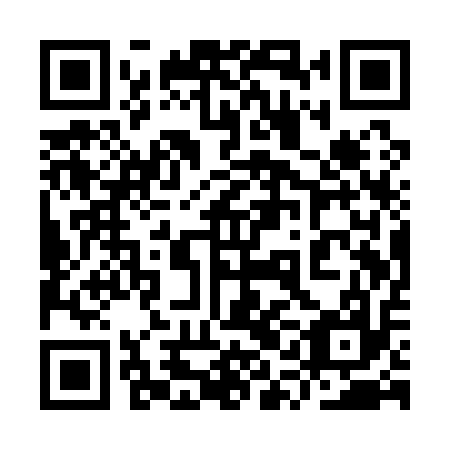 QR code for plate 9QA Q17