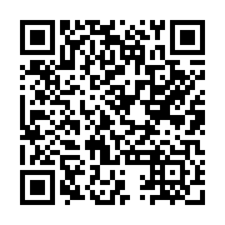 QR code for plate 9QN 703