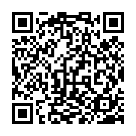 QR code for plate 9QO T30