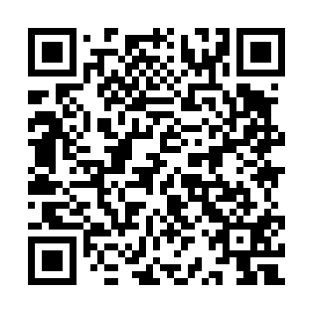 QR code for plate 9RY 411