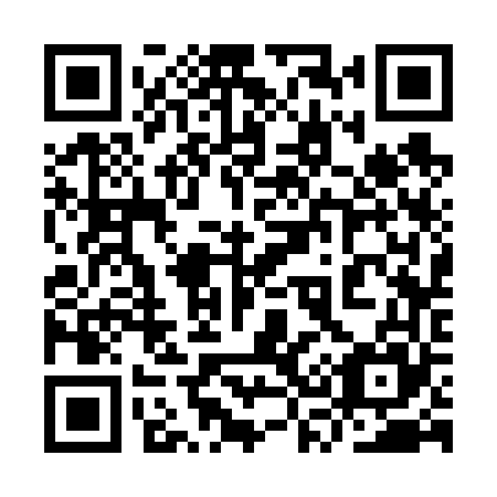 QR code for plate 9S3 665