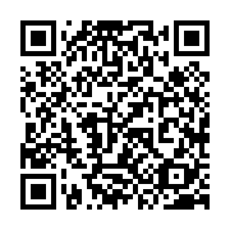 QR code for plate 9S8 028