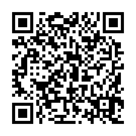 QR code for plate 9S9 384