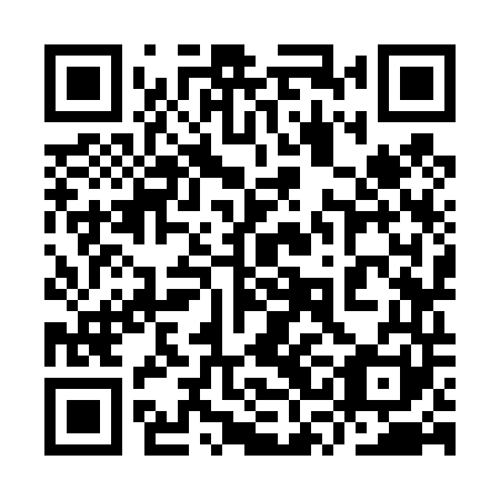 QR code for plate 9SK 441