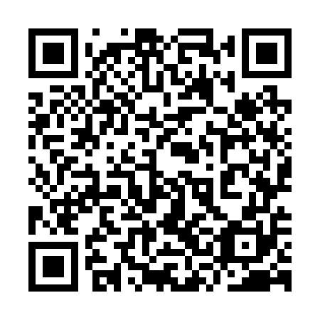 QR code for plate 9SO 250