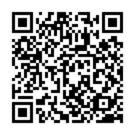 QR code for plate 9SV G38