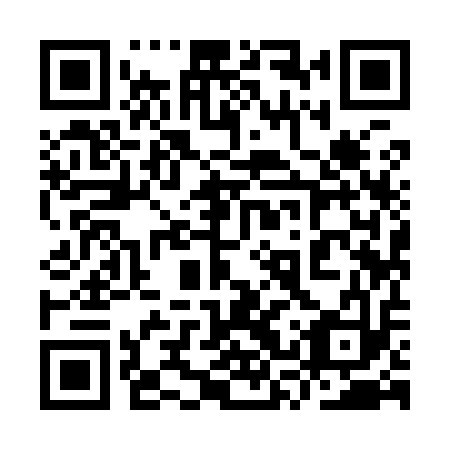 QR code for plate 9SY 913