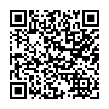 QR code for plate 9T0 951