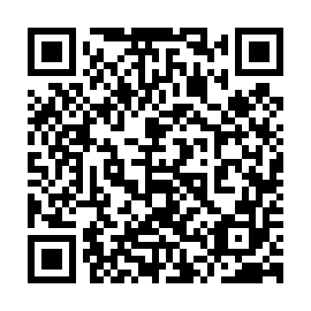 QR code for plate 9T6 452