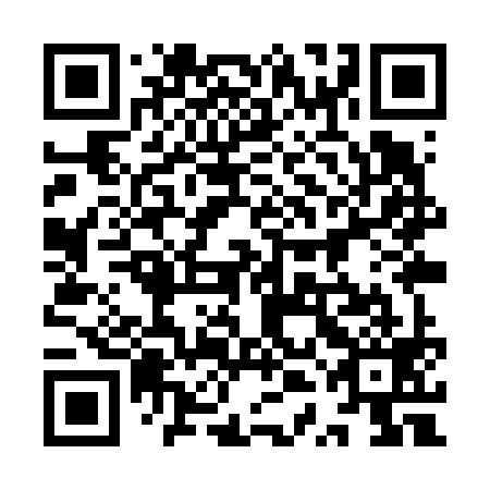 QR code for 9TI V99