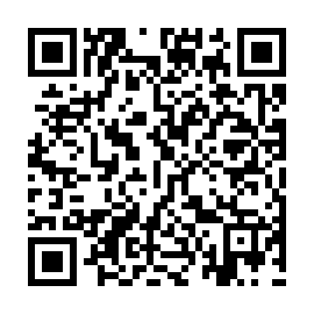 QR code for plate 9V5 367