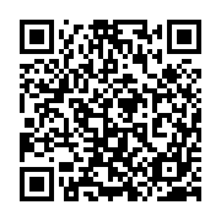 QR code for plate 9V5 857