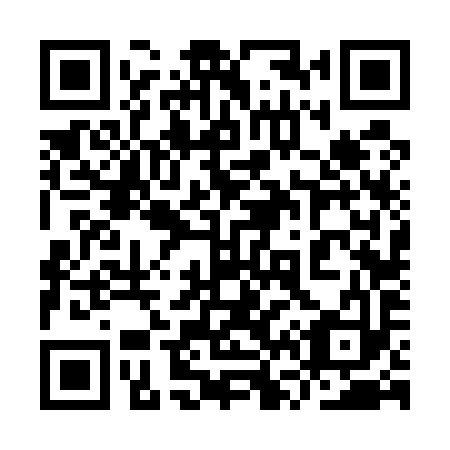 QR code for plate 9V6 593