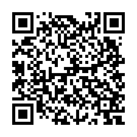 QR code for plate 9V7 602