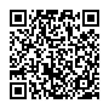 QR code for plate 9W9 417