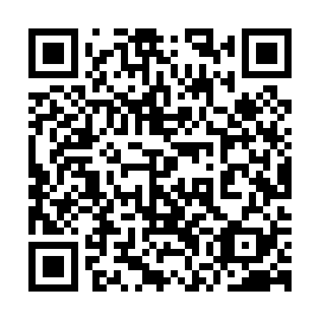 QR code for plate 9WL P29