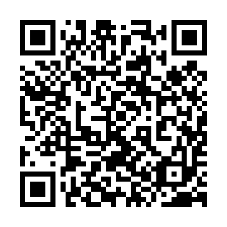 QR code for plate 9X1 493