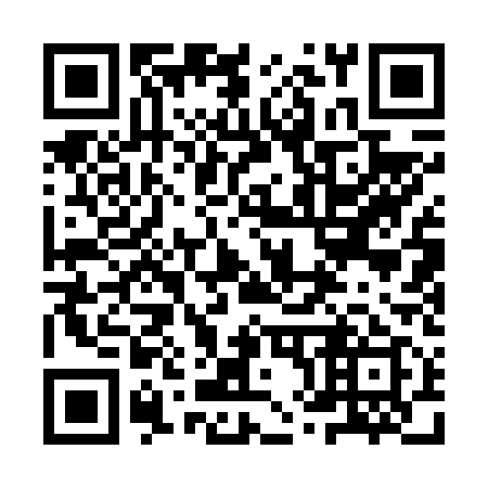 QR code for plate 9X1 619