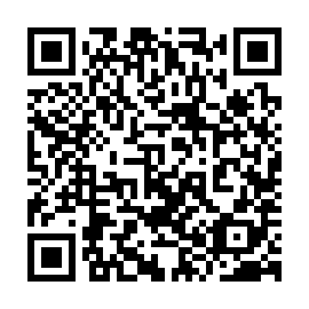 QR code for plate 9X6 388