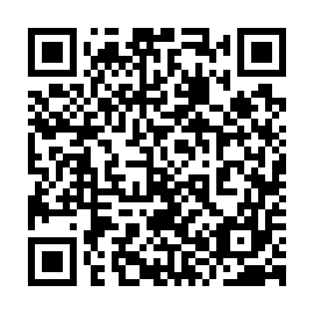 QR code for plate 9X6 757