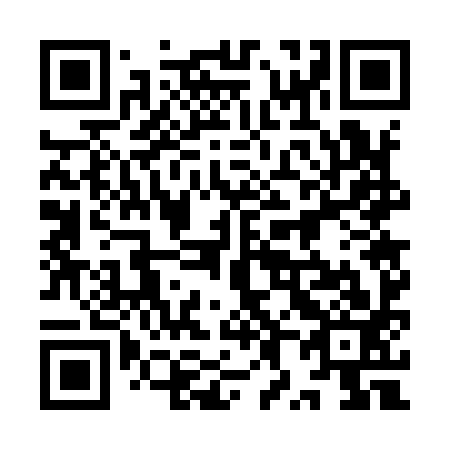 QR code for plate 9X7 993