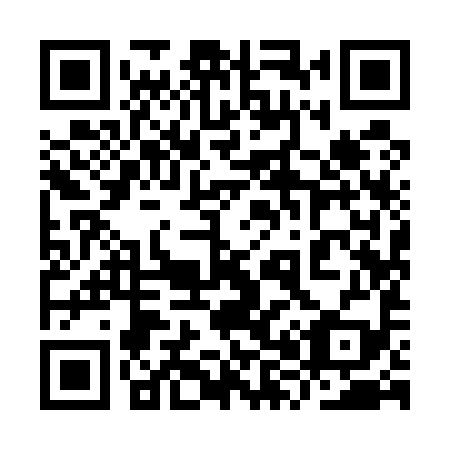 QR code for 9X9 599