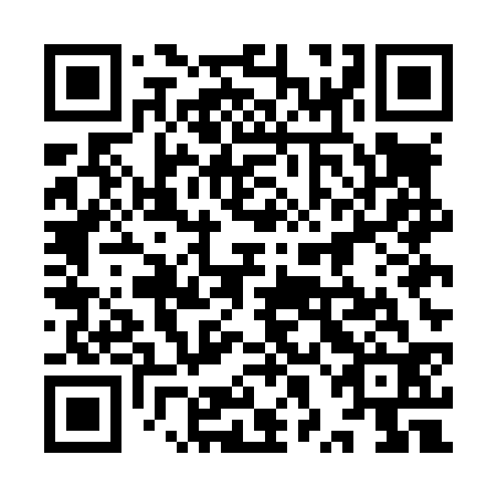 QR code for plate 9XE L32