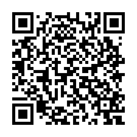 QR code for plate 9XI 301