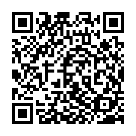 QR code for plate 9XJ S08