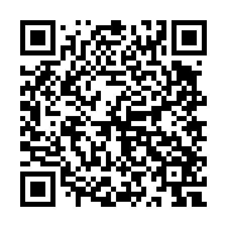 QR code for plate 9YJ 446