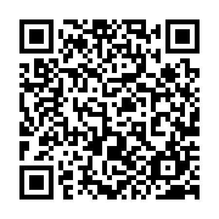 QR code for plate 9YL 304