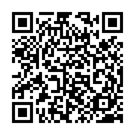 QR code for plate 9YQ L60