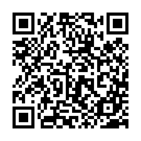 QR code for plate 9YT 447