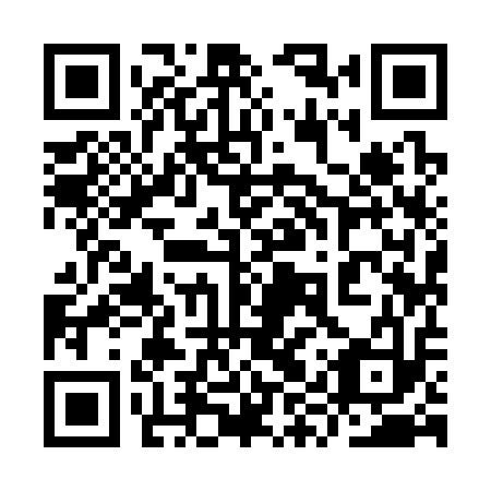 QR code for 9YY313