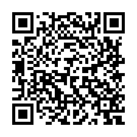 QR code for 9Z1 953