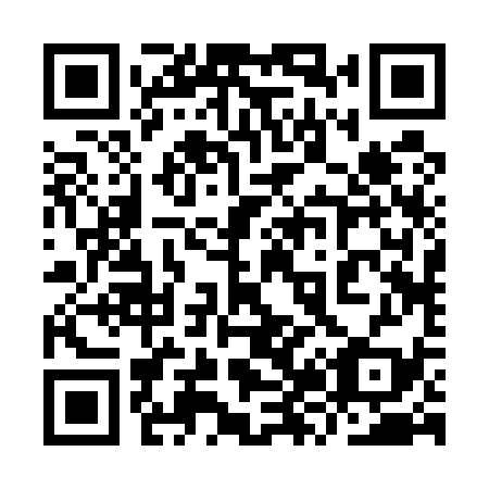 QR code for plate 9Z2 539