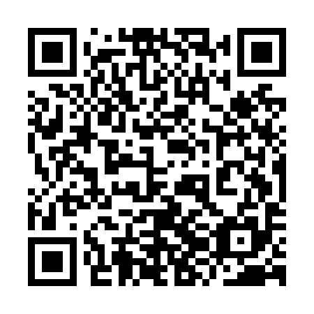 QR code for plate 9ZE N95