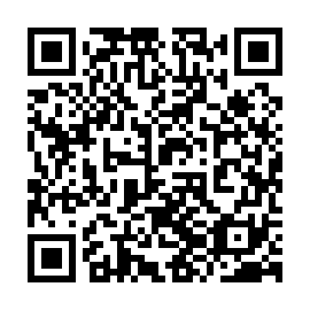 QR code for plate 9ZI 171
