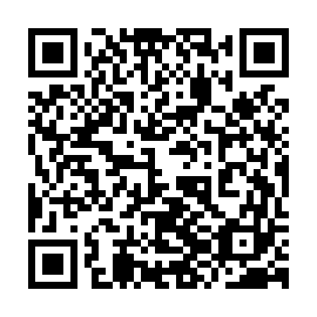 QR code for plate 9ZI L63