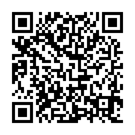 QR code for plate 9ZP I91