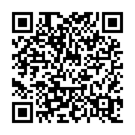 QR code for 009IDG