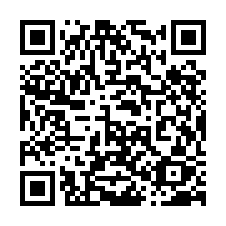 QR code for plate 009-QCZ