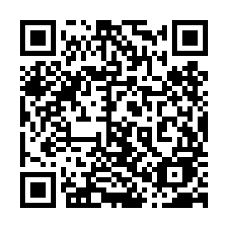 QR code for plate 009-TME